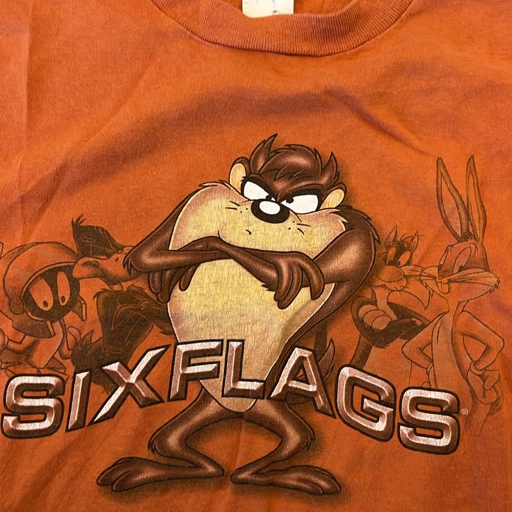 Vintage Looney Tunes‎ Taz Six Flags Tee Shirt Size L Made in USA